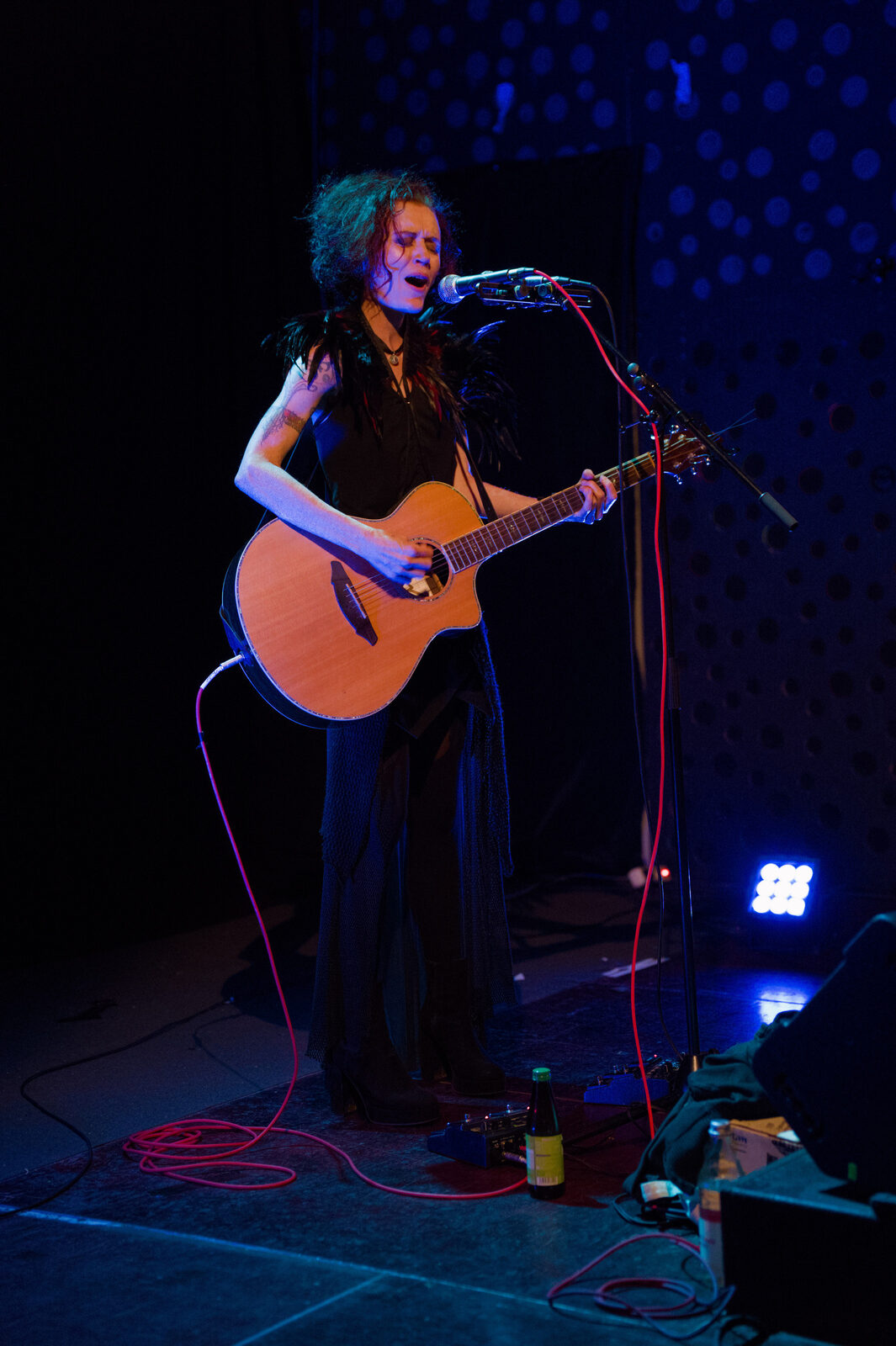 Nachtstimmung im Wald